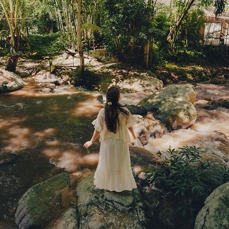 เดอะริเวอร์ แม่กำปอง The River Maekampong Chiang Mai Ban Pok Nai Eksteriør bilde
