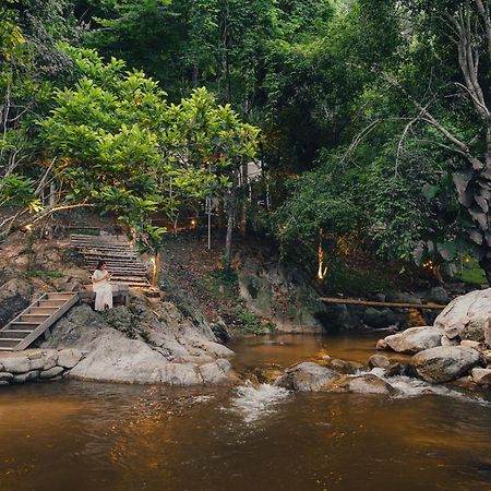 เดอะริเวอร์ แม่กำปอง The River Maekampong Chiang Mai Ban Pok Nai Eksteriør bilde